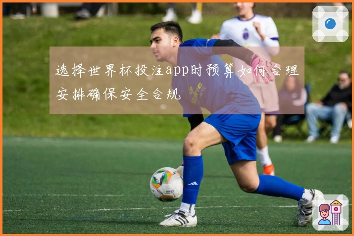 选择世界杯投注app时预算如何合理安排确保安全合规